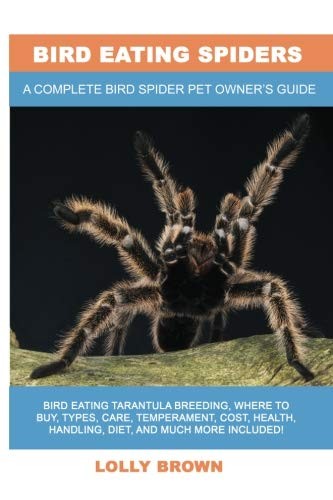 Cover for Bird Eating Spiders