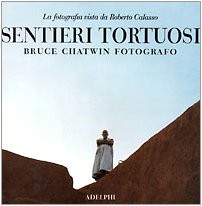 Cover for Sentieri tortuosi