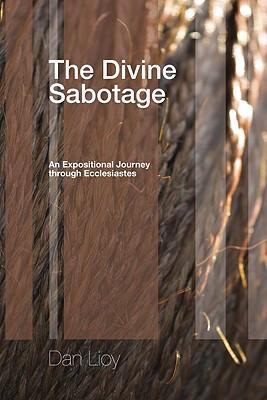 Cover for The Divine Sabotage An Expositional Journey Through Ecclesiastes
