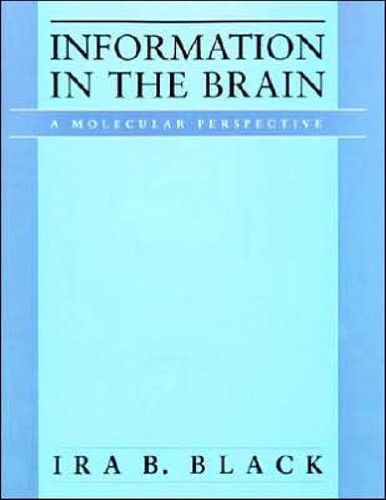 Cover for Information in the brain