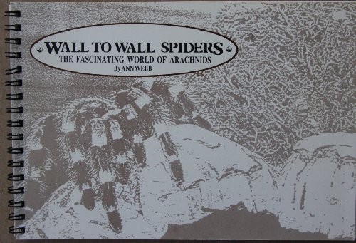 Cover for Wall to wall spiders