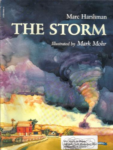 Cover for The storm