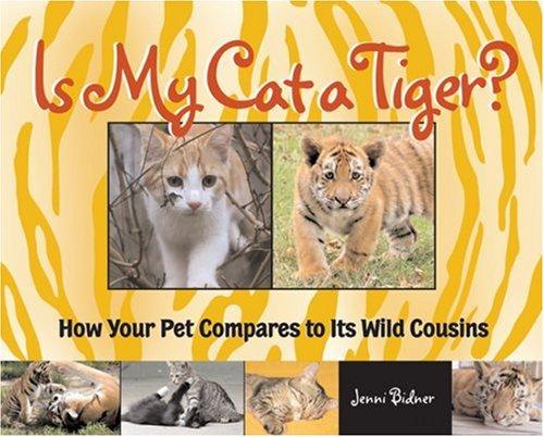 Cover for Is My Cat a Tiger?