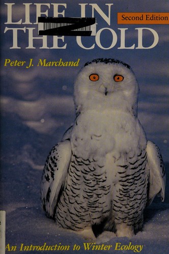 Cover for Life in the cold