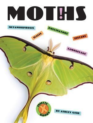 Cover for Moths