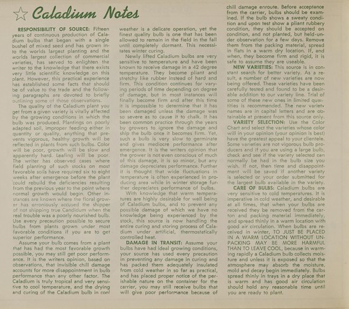 Cover for Fancy leaved caladium in color