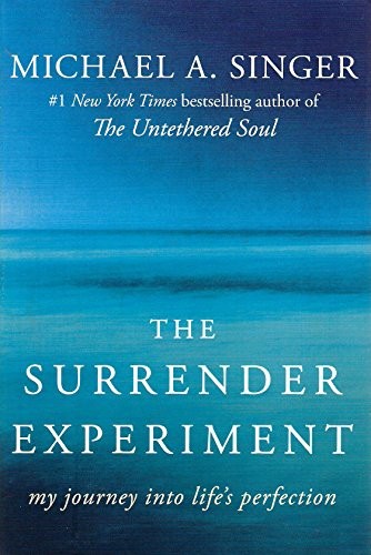 Cover for The Surrender Experiment