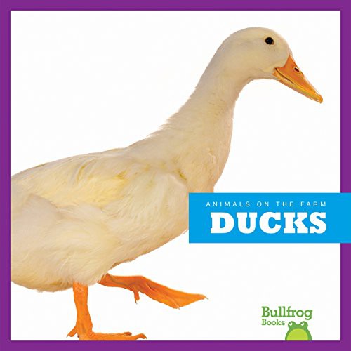 Cover for Ducks
