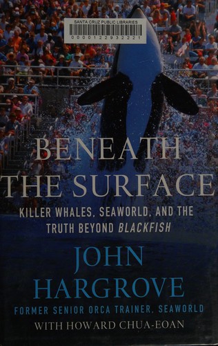 Cover for Beneath the surface