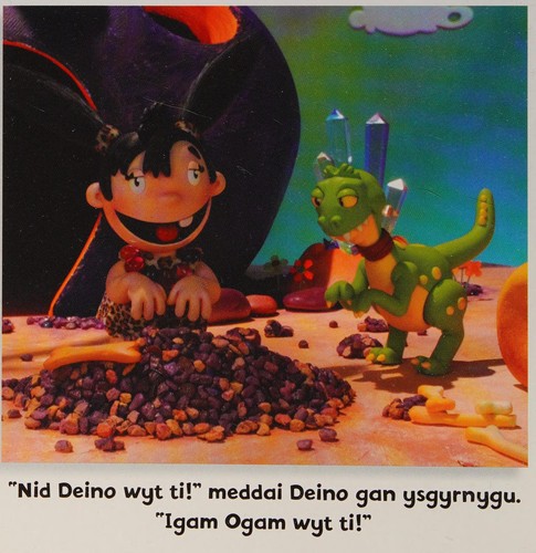 Cover for Nid Igam Ogam ydw i!