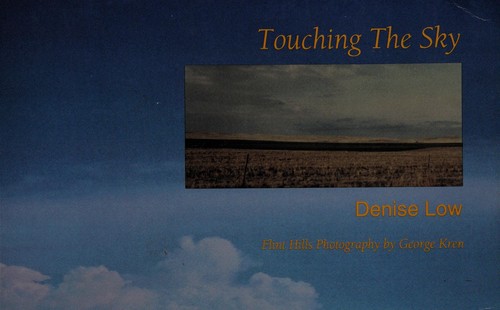 Cover for Touching the sky