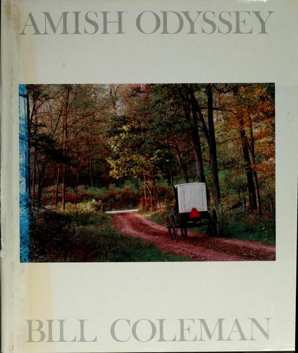 Cover for Amish odyssey