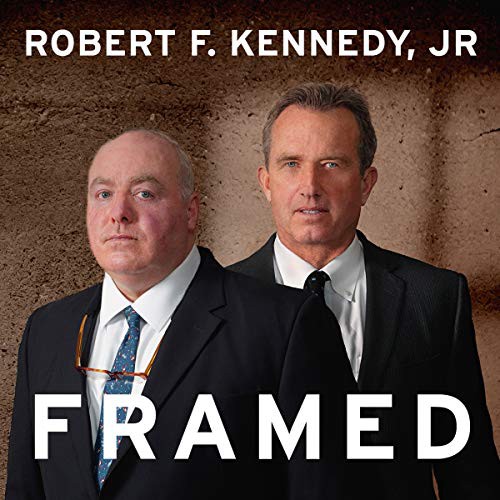 Cover for Framed