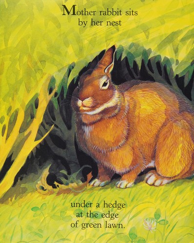 Cover for Rabbits & Raindrops