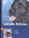 Cover for Labrador Retriever. Auswahl, Haltung, Erziehung, Beschäftigung.