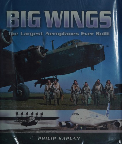 Cover for BIG WINGS.