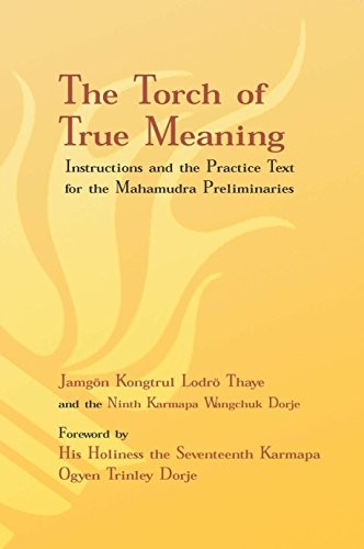 Cover for Torch of True Meaning