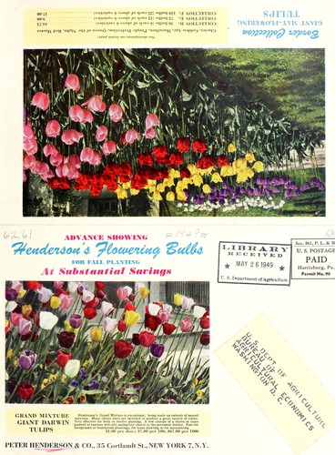 Cover for Advance showing