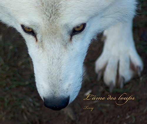 Cover for L'âme des Loups