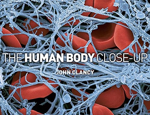 Cover for Human Body Close-Up