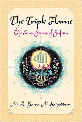 Cover for The Triple Flame