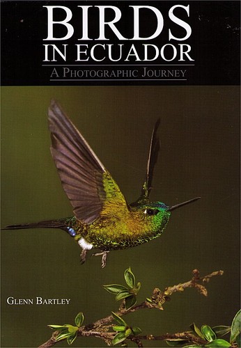 Cover for Birds of Ecuador: A Photographic Journey