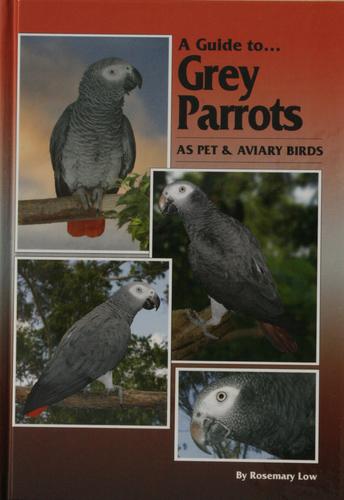 Cover for A Guide to Grey Parrots