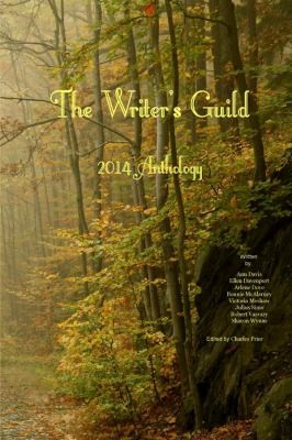 Cover for Writer's Guild 2014 Anthology