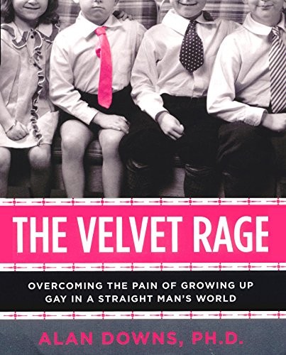 Cover for The Velvet Rage