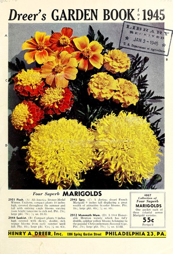 Cover for Dreer's garden book for 1945