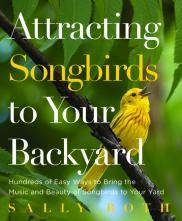 Cover for Attracting songbirds to your backyard