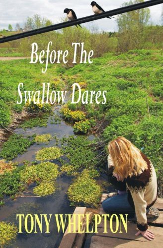 Cover for Before The Swallow Dares