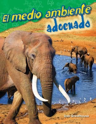 Cover for Medio Ambiente Adecuado