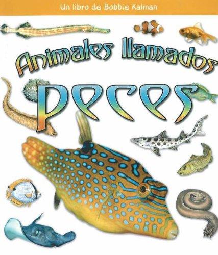 Cover for Animales Ilamados Peces / Animals Called Fish (Que Tipo De Animal Es? / What Kind of Animal Is It?)