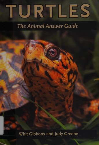 Cover for Turtles