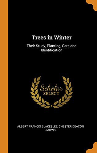 Cover for Trees in Winter
