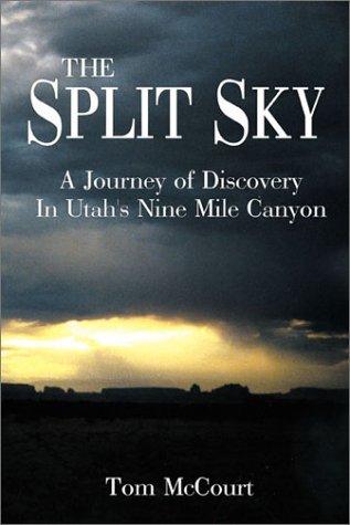 Cover for The split sky