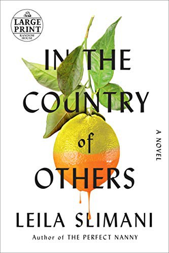 Cover for In the Country of Others