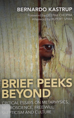 Cover for Brief Peeks Beyond