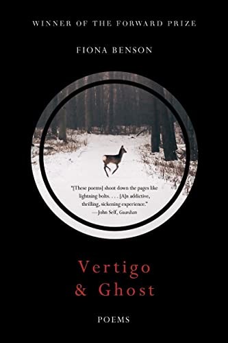 Cover for Vertigo and Ghost - Poems