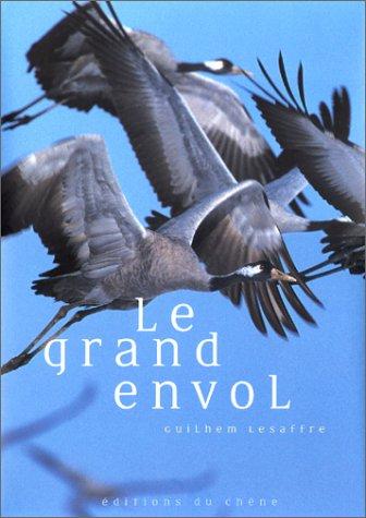 Cover for Le grand envol