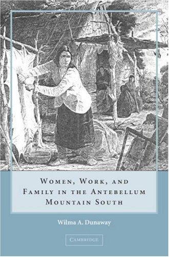 Cover for Women, Work and Family in the Antebellum Mountain South