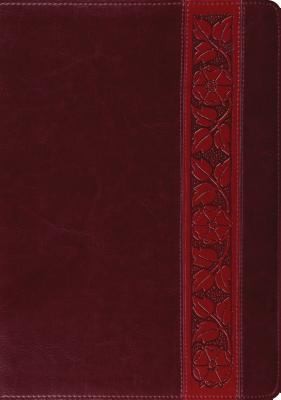 Cover for Study BibleESVTrellis Design