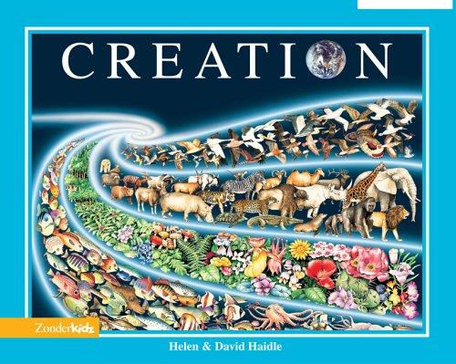Cover for Creation (Big Ideas Books)