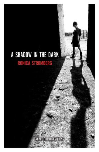 Cover for A shadow in the dark