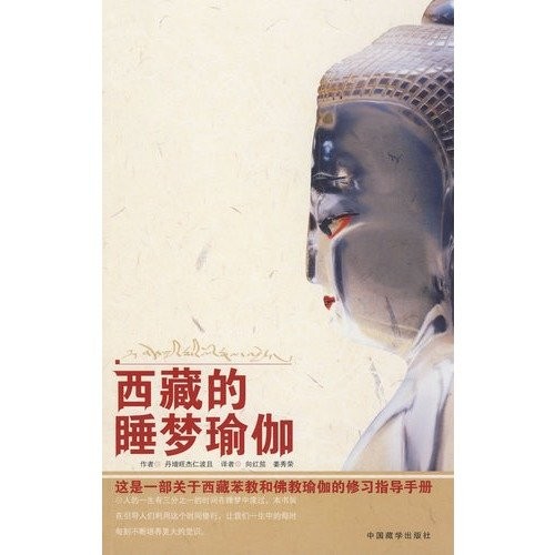 Cover for Xizang de shui meng yu jia