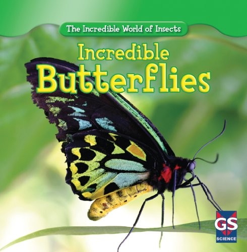Cover for Incredible butterflies