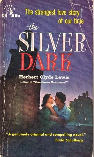 Cover for The silver dark