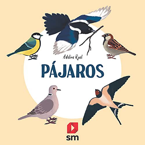Cover for Pájaros