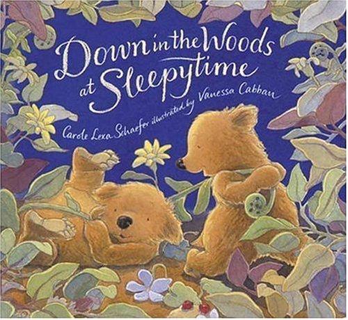 Cover for Down in the Woods at Sleepytime